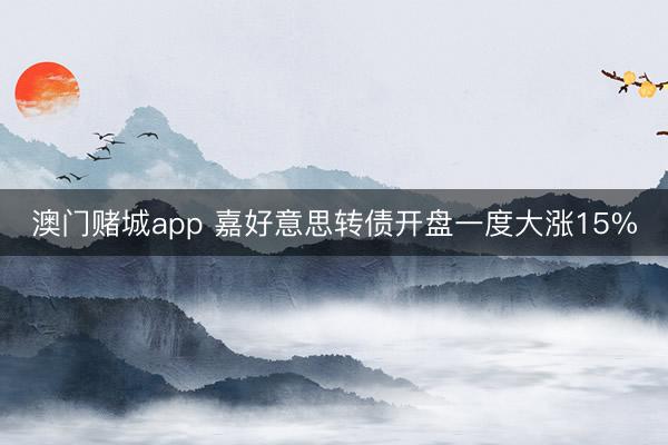 澳门赌城app 嘉好意思转债开盘一度大涨15%